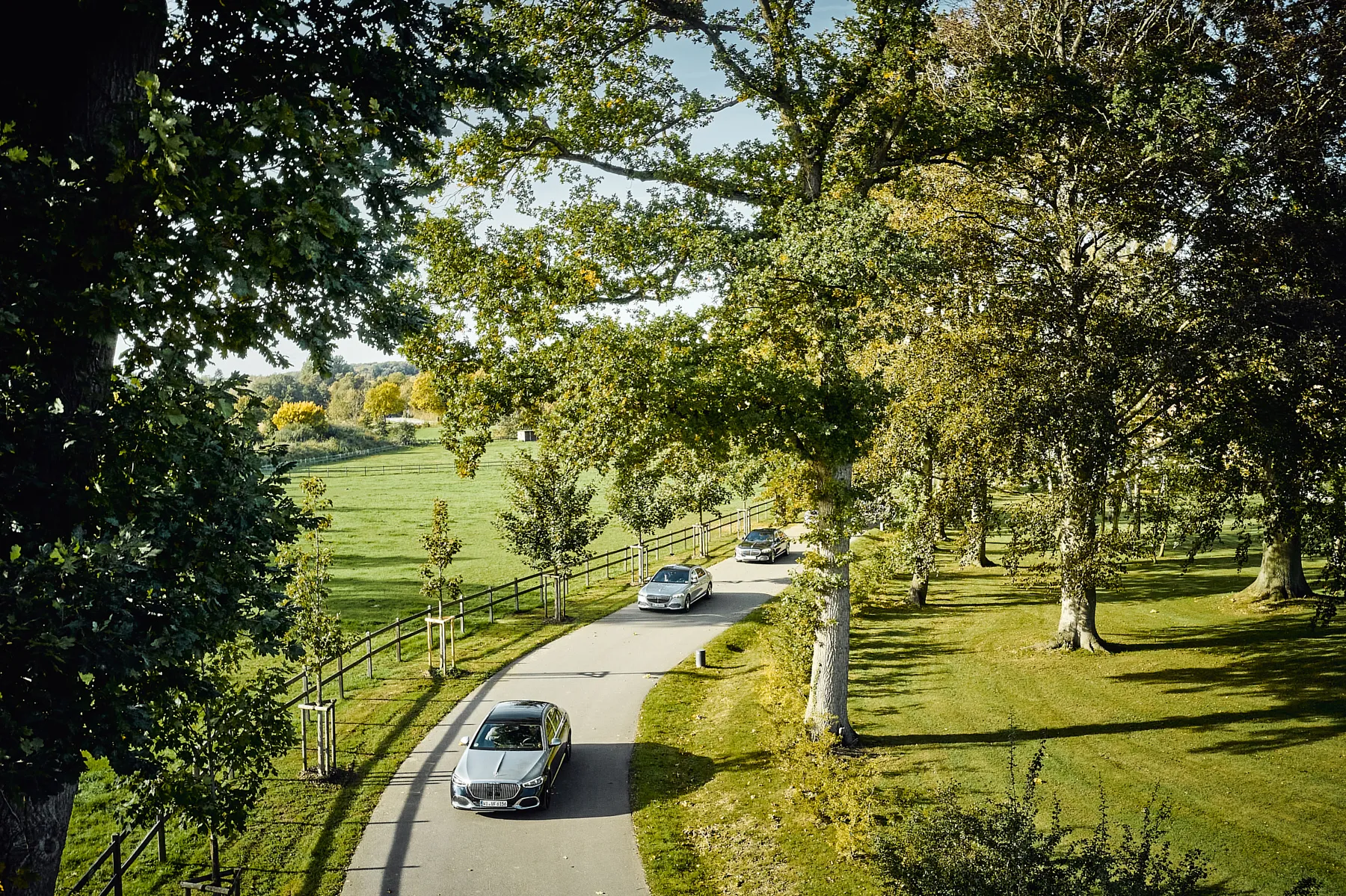 Maybach Konvoi fährt durch eine Allee